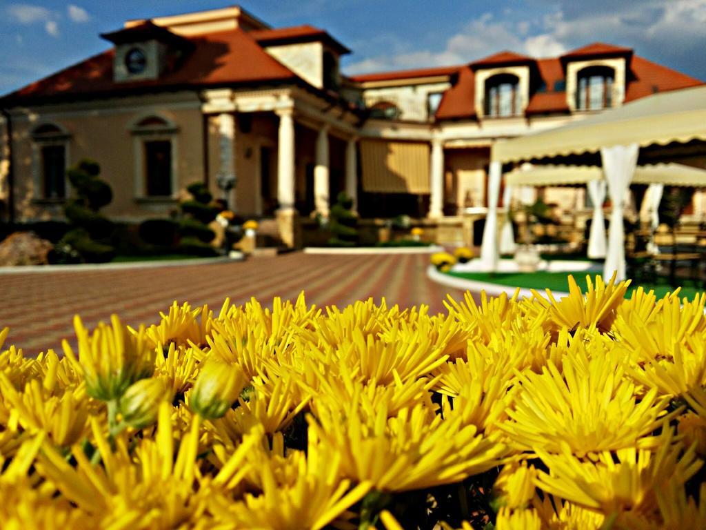 Pensiunea Trei Pini Seini Exterior foto