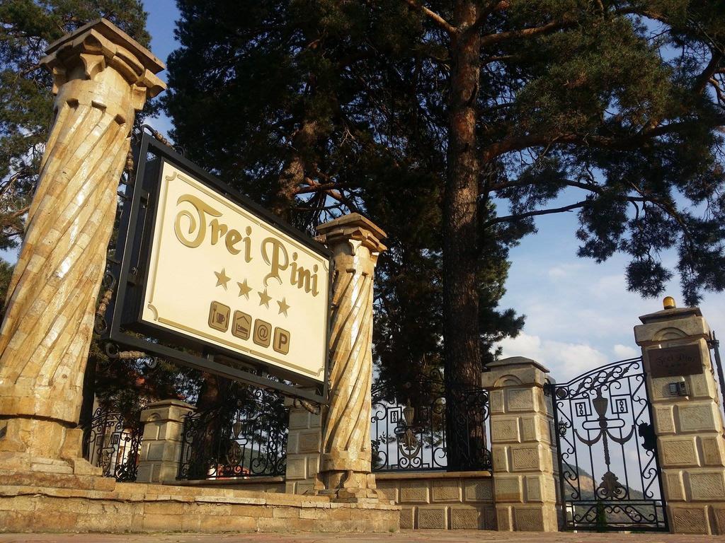 Pensiunea Trei Pini Seini Exterior foto